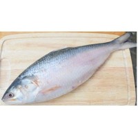 Hilsha Barisal 1000tk/kg (Net Weight1.2kg ± 50 gm)  বরিশাল নদীর ইলিশ (নেট ওজন ± ৫০ গ্রাম) ১.২গ্রাম
